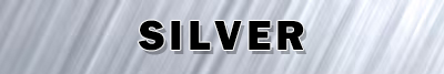 Silver Sponsors